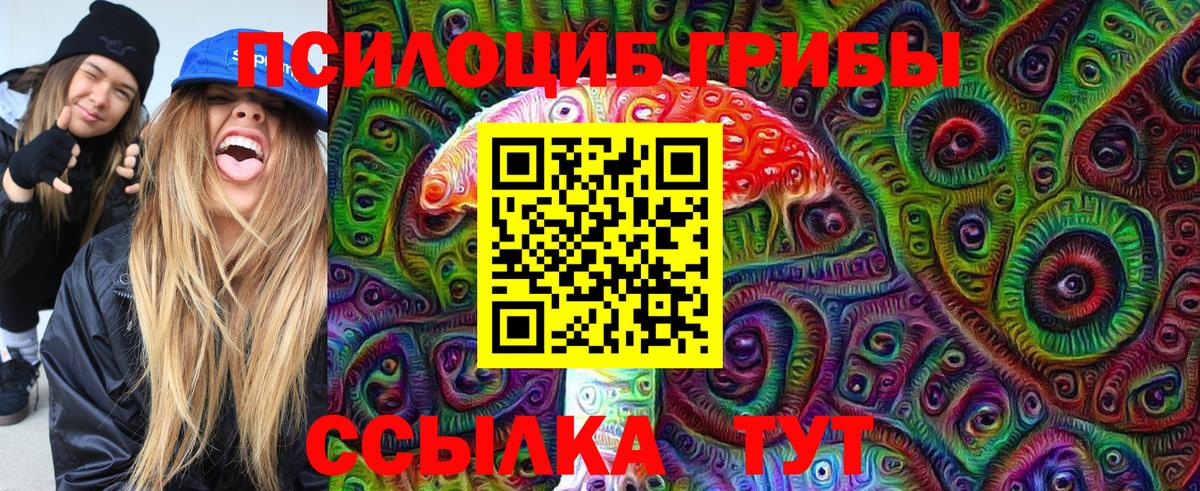 Галлюциногенные грибы мицелий Кропоткин