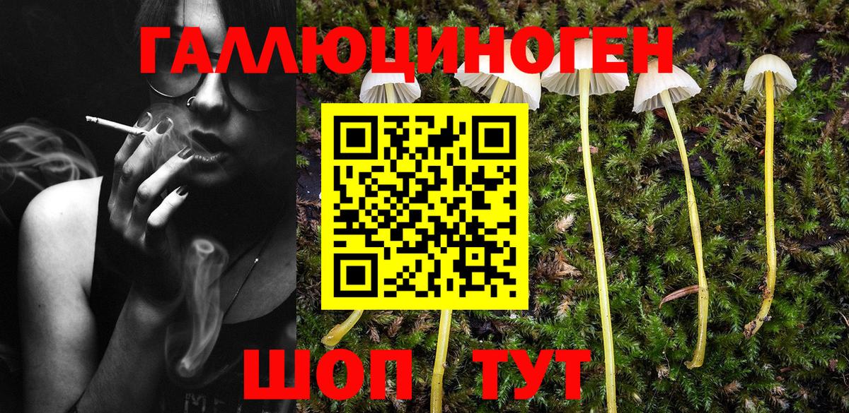 Псилоцибиновые грибы MAGIC MUSHROOMS  Псилоцибиновые грибы Psilocybine cubensis  Кропоткин  Вход с VPN 